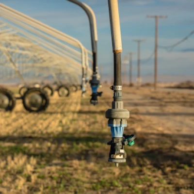 Water stress detection